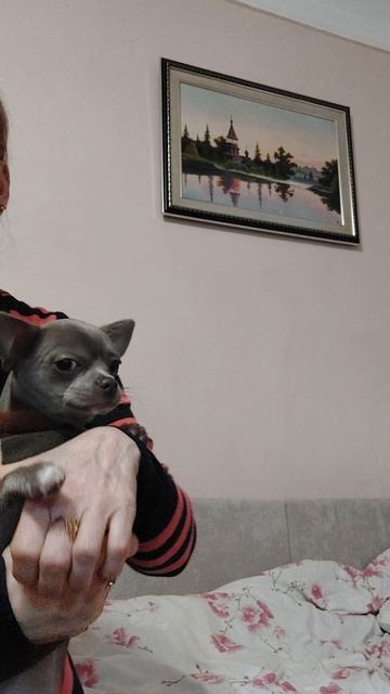 МАРИК🐶♥️♥️♥️
