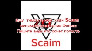 выступайте