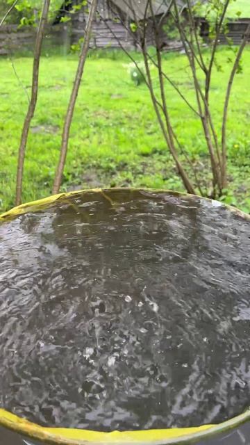 Дождь 🌧️ #природа #дождь #деревня