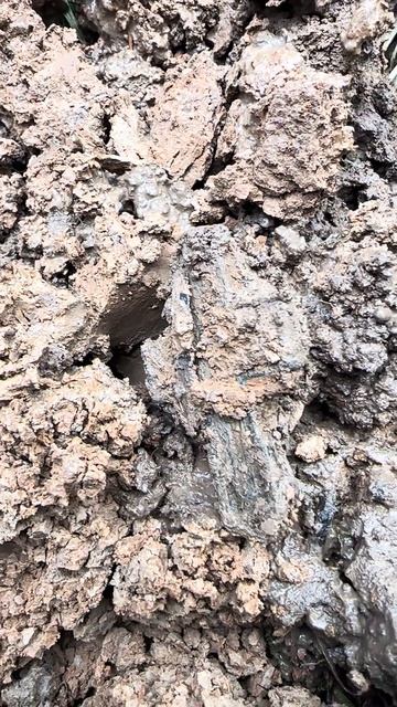 РУКИ ТРЯСУТСЯ, Я НЕ ВЕРЮСМОТРЕТЬ ДО КОНЦА, ДАВНО ТАКОЕ НЕ НАХОДИЛ! #metaldetecting #находки