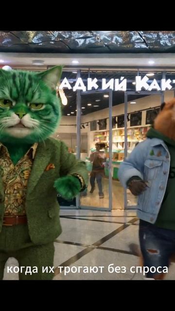 Когда решил погладить «милого» котика и нарушил границы не того парня 🤪 Подкаст мимо лотка  #юмор