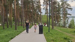 Проходит жизнь шуршат её страницы.