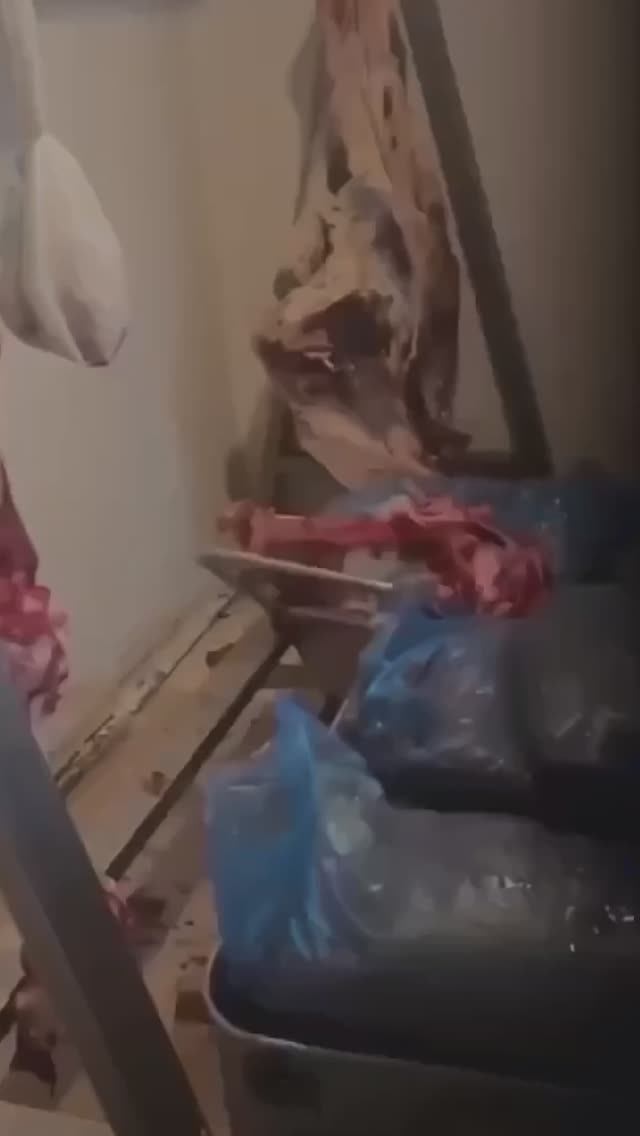 ТУХЛАЯ 
