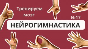 Нейрогимнастика для взрослых и пожилых людей