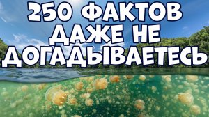 250 ИНТЕРЕСНЫХ ФАКТОВ, О КОТОРЫХ ВЫ ДАЖЕ НЕ ДОГАДЫВАЛИСЬ
