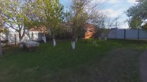 Жизнь на пенсии в Деревне.