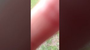 1000008897.mp4