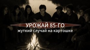 Деревенские истории. Жуткий случай на сборе картошки.Аудиокнига.