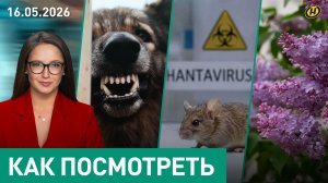 Какое вооружение надо Беларуси / Хантавирус / Бродячие собаки / Гадалки-шарлатанки / Штраф за сирень