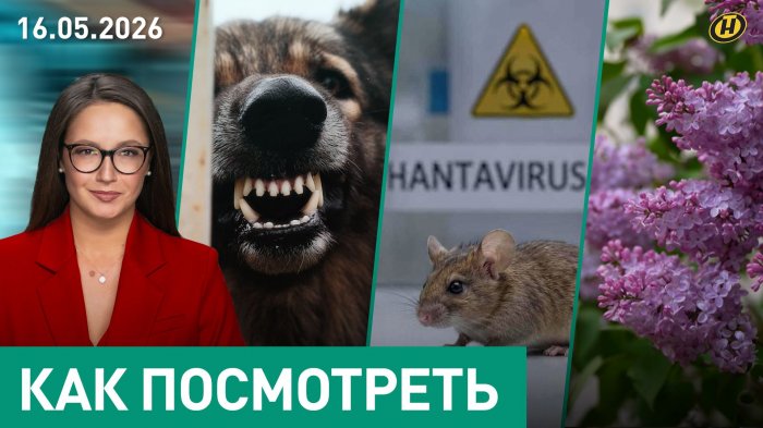 Какое вооружение надо Беларуси / Хантавирус / Бродячие собаки / Гадалки-шарлатанки / Штраф за сирень
