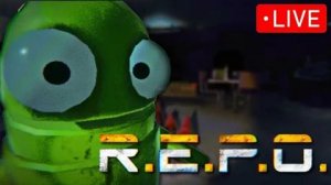 играю с другом в repo