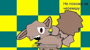 Черемша