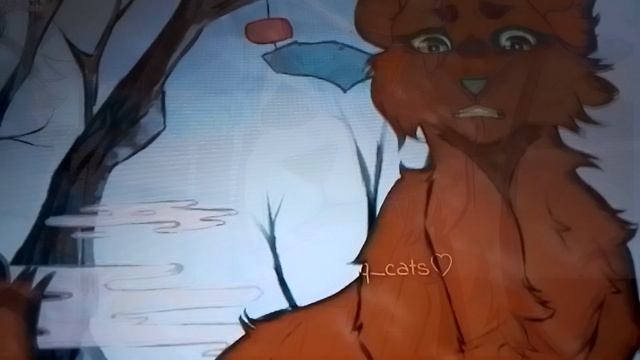 коты воители тик ток 1часть