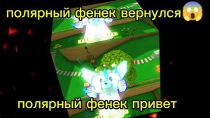 полярный фенек опять ушёл🤣
