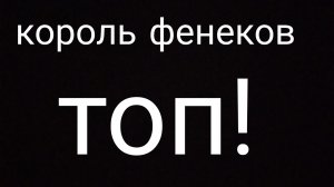видео как я нарисовал арт король фенеков