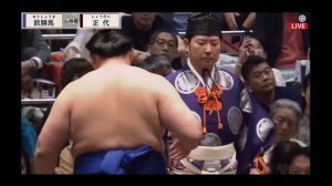 7 день Нацу Басё 2026 Макуути Сумо на русском ( Natsu Basho 2026 Makuuchi Division Day 7 Sumo