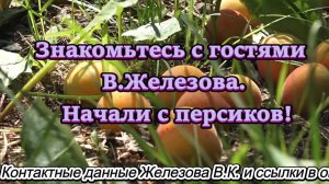 Знакомьтесь с гостями В.Железова. Начали с персиков!