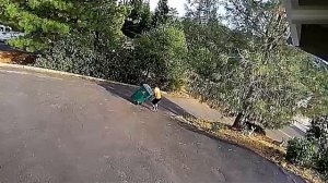 Всячинки