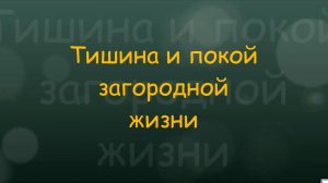 Дом, с.ТЕРНОВОЕ, ул. Победы, 34