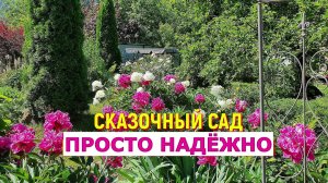 Эти идеальные ОПОРЫ для ПИОНОВ использую много лет