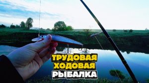 Береговая рыбалка на СПИННИНГ весной | Пробуем уговорить ЩУКУ на поклёвку после НЕРЕСТА