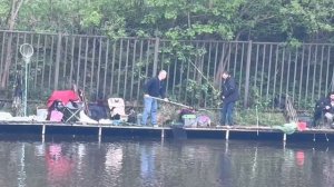 Осётр.Основной водоём