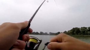 Видео от За Трофеем: Охота и Рыбалка