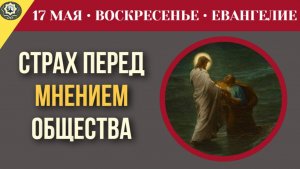 Почему страх перед чужим мнением заставляет людей предавать своих близких I 17 мая