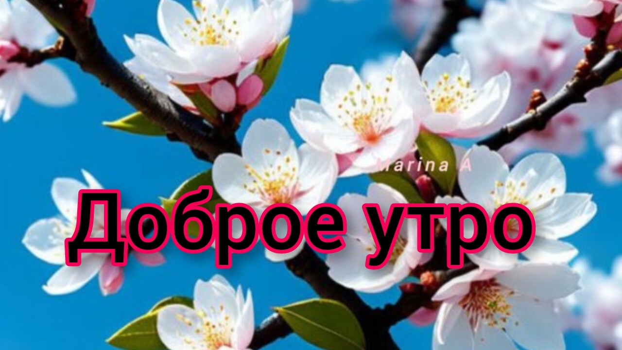 Доброе утро,суббота! Шикарная музыкальная открытка.