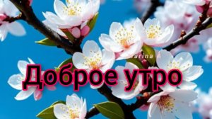 Доброе утро,суббота! Шикарная музыкальная открытка.