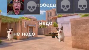 🥰🐾🐱котик апнул легенду! (часть 2) в STANDOFF 2