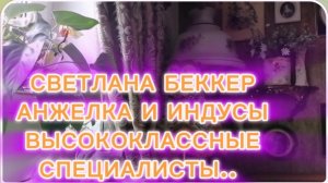 САМВЕЛ АДАМЯН, ОБЗОР ОТ СВЕТЛАНЫ БЕККЕР НА СНЕЖКО ГАДКО, АНЖЕЛКА И ИНДУСЫ, ВЫСОКОКЛАССНЫЕ СПЕЦЫ..