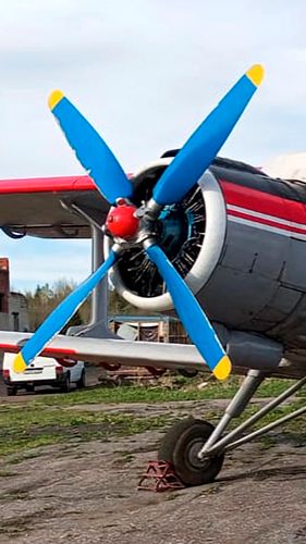 Полет на самолете Ан-2 возле Санкт-Петербурга: Экстремальные развлечения Агентства Экстрима АХАА