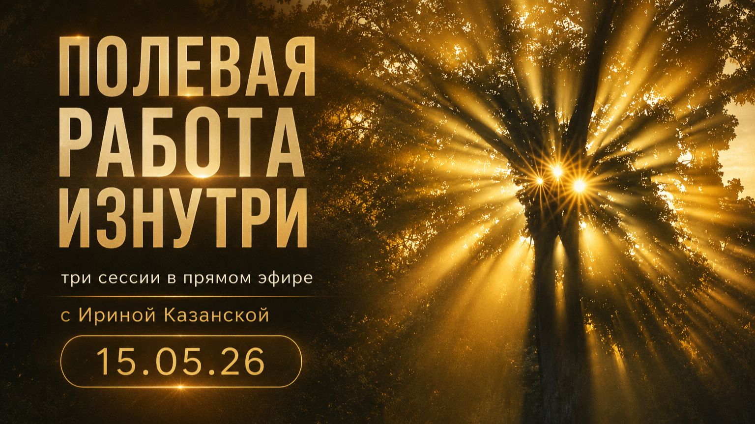 Полевая работа изнутри. Три сессии в прямом эфире.