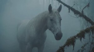 ЁЖИК В ТУМАНЕ Концепт-трейлер 2026