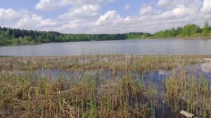 Мазуренское озеро г.Балашиха