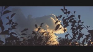Станица Ивановская Краснодарский Край