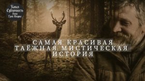 Мистическая история. Аудиокнига.#историипротайгу#мистика#