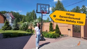 Баскетбольная стойка Wallaby X300 - мобильное баскетбольное кольцо
