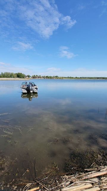 Такси на рыбалку вызывали?