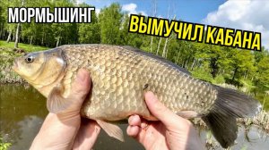 Ловля карася с мормышингом. Поймал гиганта