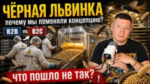 Чёрная львинка: Neytan кардинально поменяла концепцию. Что пошло не так?