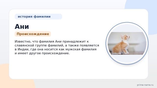 Фамилия Ани: происхождение, значение и склонение