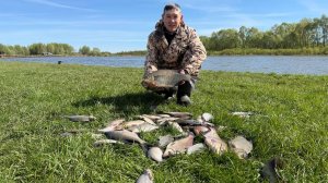 ЛЕЩ, ГУСТЕРА КАК ИЗ ПУЛЕМЕТА. Отличная рыбалка на фидер.