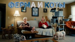 Соседи Ферма vs Коты