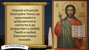 Молитва за сына. Православие