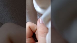 трансляция майского жука