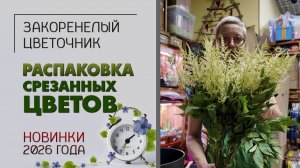 Распаковка. Новый формат. Поставка срезанных цветов. Новинки 2026 года. Редкие и сезонные цветы.