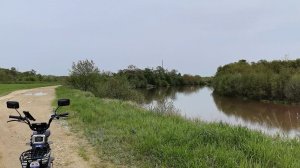 Сурский край близ Чаадаевки. Мои впечатления 🌲 🌳