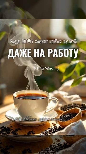 Цитата